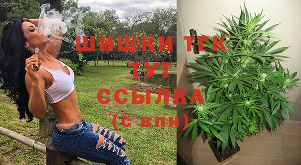 соль ск Богданович
